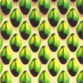 Green Pearl Green Pearl
